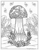 38 Mushroom Coloring Pages Free PDF Printables  Worksheets Library sketch template