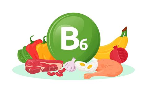 Vitamin B6 food sources 1644056 Vector Art at Vecteezy