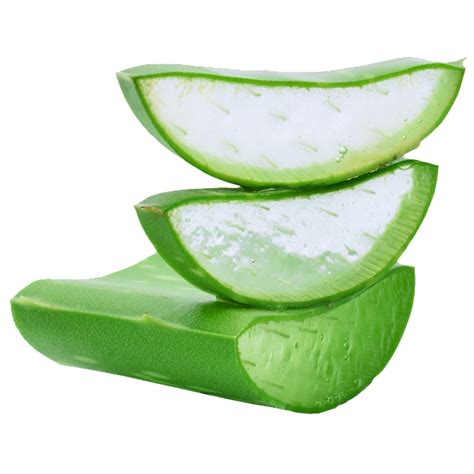 Aloe Vera Gel PNG Picture | PNG All