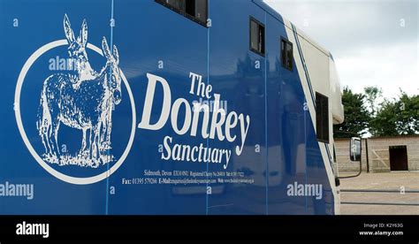 The Sidmouth Donkey Sanctuary, Devon, UK Stock Photo - Alamy