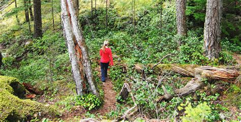 Adventure recreation and tours on Quadra Island, Discovery Islands, British Columbia, Quadra ...