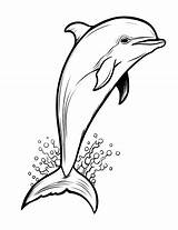 33 Free Printable Dolphin Coloring Sheets  Coloring Craze sketch template