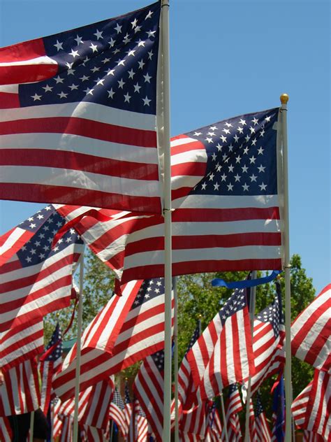 American Flags On Memorial Day Free Stock Photo - Public Domain Pictures