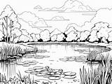 Pond Ecosystem Coloring Page Pages sketch template