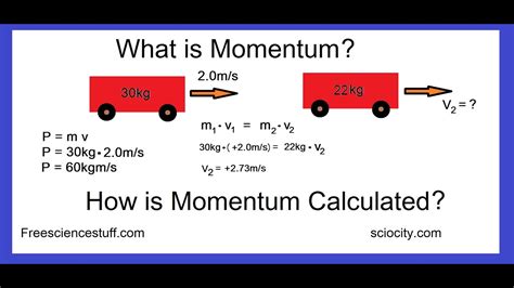 How To Calculate Momentum, With Examples - YouTube