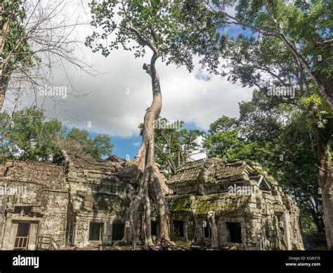 Ta Prohm Temple Stock Photo - Alamy