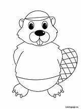 Beaver coloring page  Coloring Page sketch template