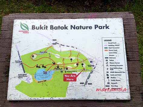 manta blog: Morning Walk at Bukit Batok Nature Park