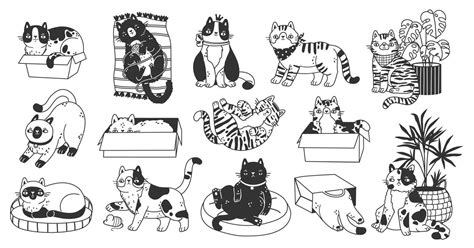 Doodle sketch cute cats characters. Funny hand drawn pets in boxes, baskets, on rugs with plants ...