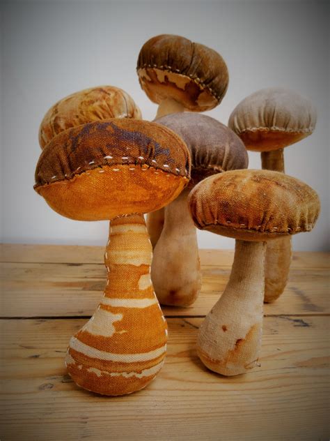 hand stitched mushroom soft sculptures using rust dyed cloth - Jule ...