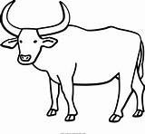 Water Buffaloes Coloring Pages  Cute sketch template