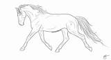 Free Lineart  Trotting Dutch warmblood By Https//wwwdeviantartcom sketch template