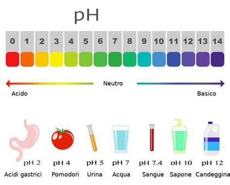 pH delle urine alto e basso - Scopri i valori normali!