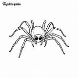 Trapdoor spider coloring Page And Outline Vector Design  Premium AI sketch template