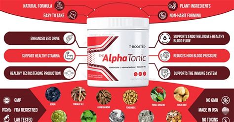 Alpha Tonic (Review) Supports Endothelium & Healthy Blood Flow! Read