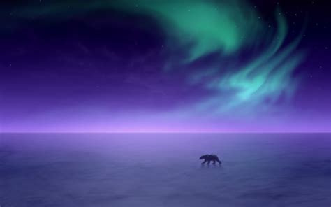 Free download aurora borealis Alaska snow landscapes polar bears ...