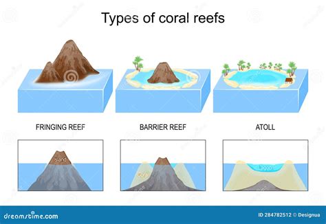 Types, And Structure Of Coral Reefs And Islands Vector Illustration ...