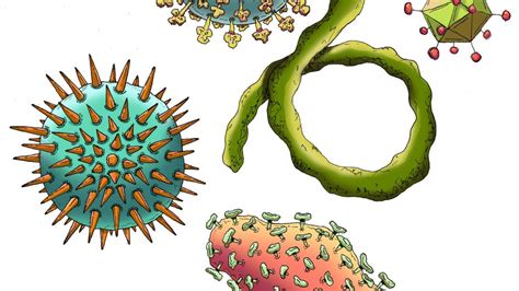 Most Common Types Of Viruses