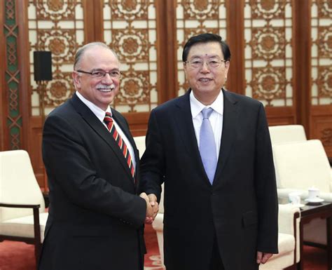 Zhang Dejiang rencontre un vice-président du Parlement européen