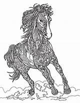 Adult Horse Coloring Pages & coloring Book 6000  sketch template
