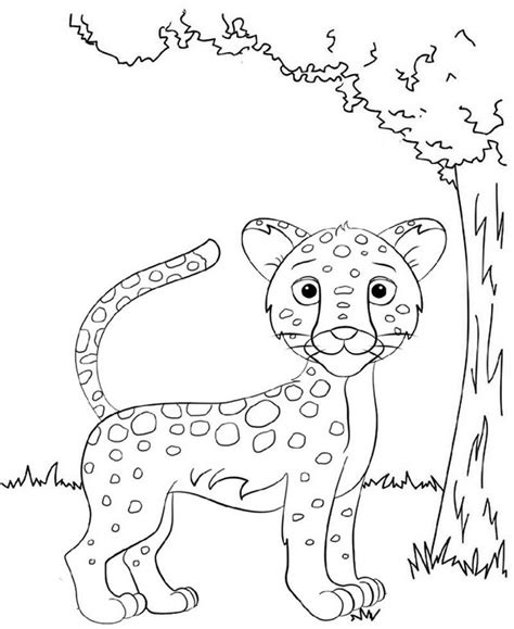 Eight Fun Baby Jaguar Coloring Pages for Kids - Coloring Pages