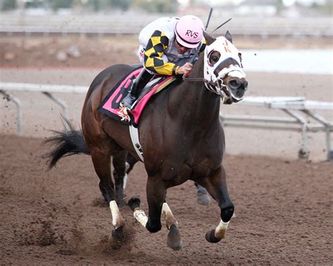 World Champion Quarter Horse – Sunland Park Racetrack and Casino