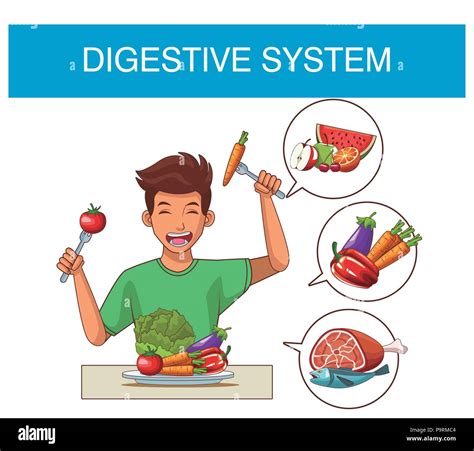 Digestive system cartoon Cut Out Stock Images & Pictures - Alamy