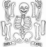 Printable Skeleton Craft Coloring Page  Crafts And Worksheets For sketch template