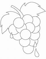 Grapes Coloring Page At GetColoringscom  Free Printable Colorings sketch template