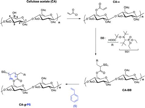 Synthesis of polystyrene-grafted cellulose acetate copolymers via nitroxide-mediated ...