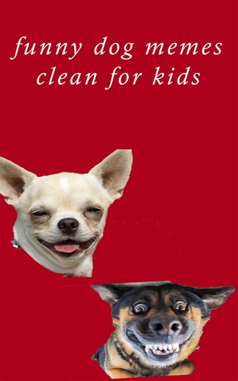 Buy funny dog memes clean for kids: best dog memes , dank dog memes and funniest dog memes ...