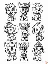 Paw Patrol Cat Pack Coloring Pages sketch template