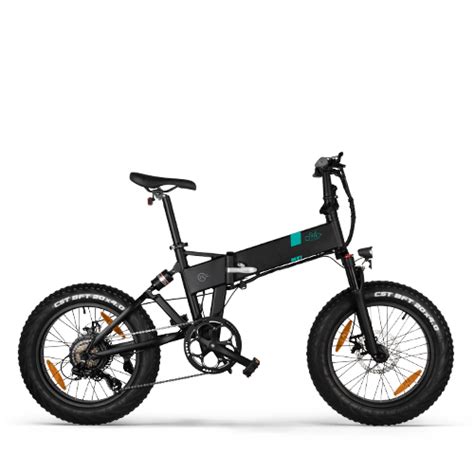 Fiido T1 Powerful Utility Electric Bike for Family - Fiido