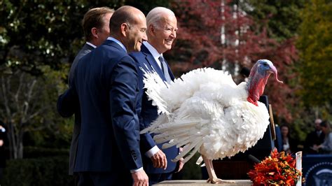 5 fun facts about the annual turkey pardon