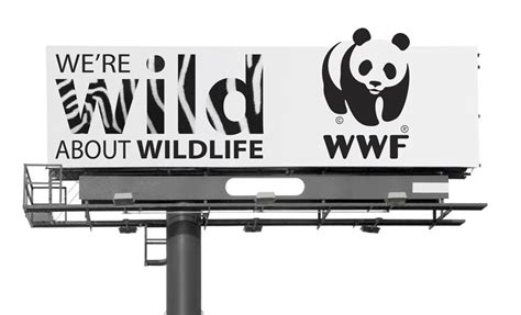 World Wildlife Fund | Luis Cestou – Visual + Interaction Designer