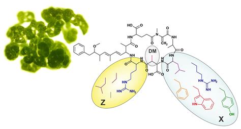 Marine Drugs | Free Full-Text | High Levels of Structural Diversity ...