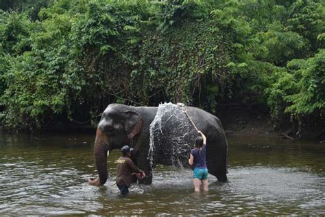 Elephant Sanctuary & Kanchanaburi Highlights Private Tour | GetYourGuide