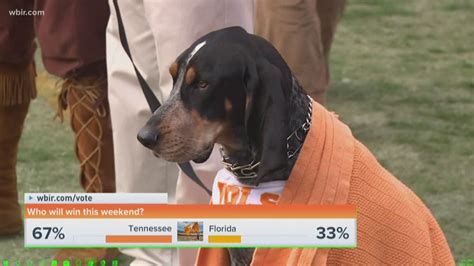 Tennessee mascot Smokey is celebrating 66 years on the sidelines | wbir.com