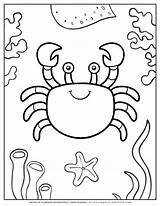 Crab Coloring Pages sketch template