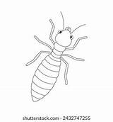 Silverfish Illustration Coloring Page Kids Stock Vector Royalty Free  sketch template