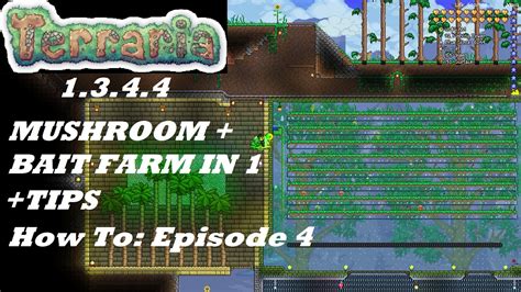 Terraria 1.3.4.4 HOW TO | Build a Mushroom & Bait Farm | Benefits + Setup | Episode 4 - YouTube