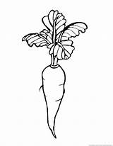 Printable Carrot For Children Coloring Pages  Cool sketch template