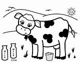Milk Coloring Page At GetColoringscom  Free Printable Colorings pages sketch template