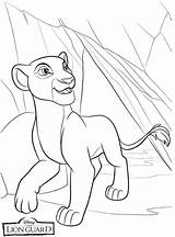 The Lion Guard Coloring Pages  100 Pictures Free Printable sketch template