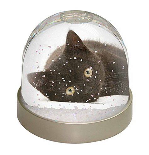 Advanta Group Stunning Black Cat Photo Snow Globe Waterball | Snow globes, Photo snow globes, Cats