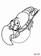 Lobster Coloring Pages  Free Printable PDF JPG PNG & Online sketch template