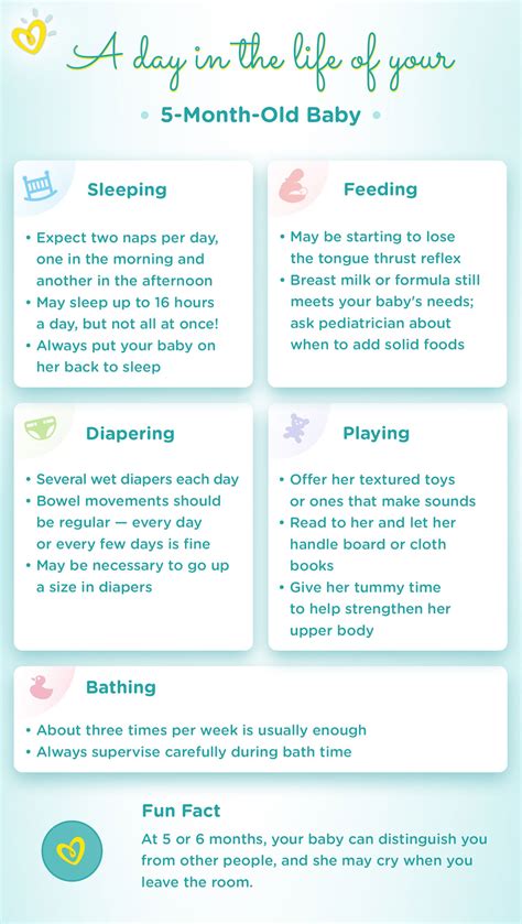 5-Month-Old Baby: Milestones, Sleep & Feeding Schedule | Pampers