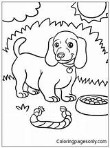 Weiner Dog Puppy Coloring Page  Free Printable Coloring Pages sketch template