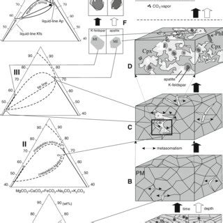 Model for the evolution of the carbonatite melt and formation of... | Download Scientific Diagram