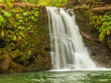 15 Best Waterfalls on Maui, Hawaii, You Must See!